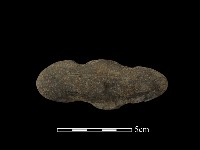 網墜藏品圖，第2張