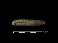 網墜藏品圖，第1張