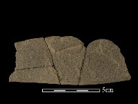 石鋸藏品圖，第2張