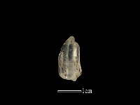 石材藏品圖，第2張