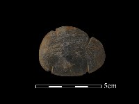 網墜藏品圖，第2張