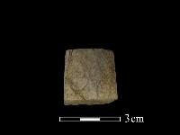 錛鑿形器藏品圖，第2張