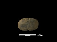 網墜藏品圖，第3張