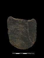 石鏟藏品圖，第2張