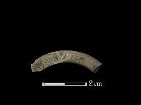 石環藏品圖，第2張