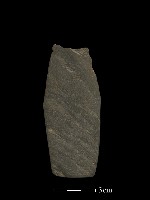 矛鏃形器藏品圖，第1張