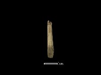 錛鑿形器藏品圖，第2張