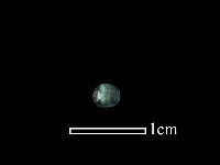 鑽頭藏品圖，第2張