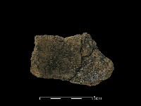 陶片藏品圖，第2張