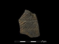 陶片藏品圖，第1張