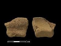 陶片藏品圖，第1張