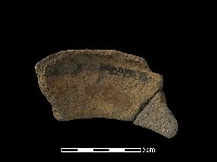 陶片藏品圖，第2張