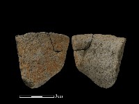 陶片藏品圖，第1張