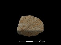 陶片藏品圖，第1張