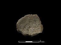 陶片藏品圖，第3張