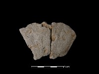 陶片藏品圖，第2張