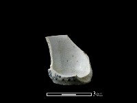 瓷杯藏品圖，第2張