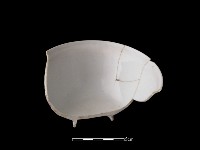 蓋碗藏品圖，第1張