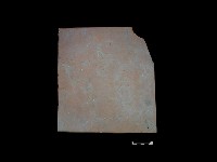 瓦片藏品圖，第1張