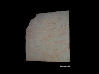 瓦片藏品圖，第2張