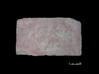 磚藏品圖，第2張