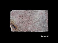 磚藏品圖，第1張