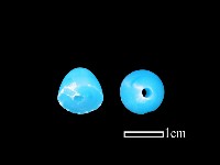 琉璃珠藏品圖，第1張