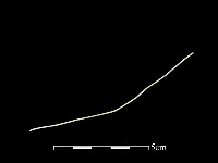 銅線藏品圖，第1張