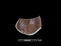 湯匙藏品圖，第1張