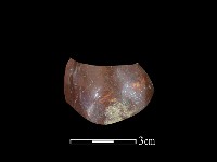 湯匙藏品圖，第2張