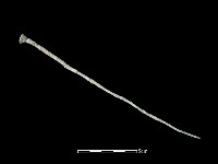 髮簪藏品圖，第1張