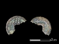 銅錢藏品圖，第2張