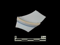 帶紋飾瓷片藏品圖，第2張