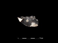 石材藏品圖，第2張