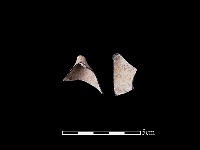 玻璃器藏品圖，第2張