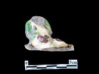 陶塑藏品圖，第2張