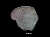 陶缸藏品圖，第2張