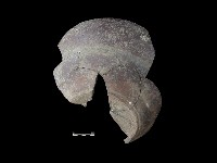 陶缸藏品圖，第1張