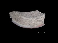 缸蓋藏品圖，第1張