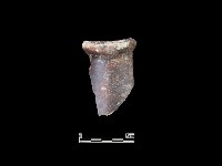 陶瓶藏品圖，第1張