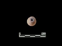 陶鈕藏品圖，第1張