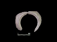 陶片藏品圖，第2張