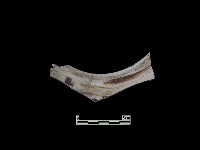 陶片藏品圖，第2張