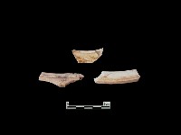 陶片藏品圖，第1張