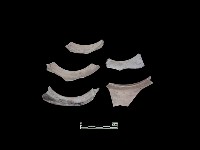 陶片藏品圖，第1張