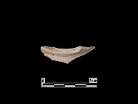 陶片藏品圖，第1張