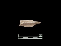 陶片藏品圖，第2張