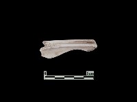 陶片藏品圖，第2張