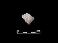 圓形耳藏品圖，第2張