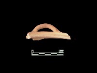 陶片藏品圖，第2張